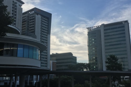 女生文科生学什么专业好 文科生热门专业排行 女生文科生学什么专业好 文科生热门专业排行