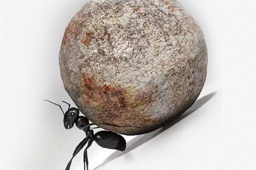 理科女生最吃香的十大职业排行榜 理科女生最吃香的十大职业排行榜