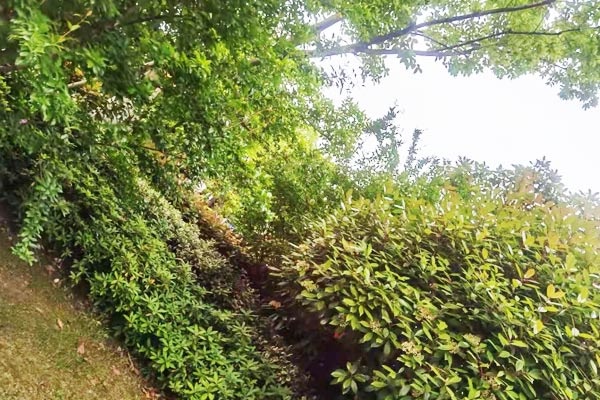 理科女生最吃香的十大职业排行榜 理科女生最吃香的十大职业排行榜