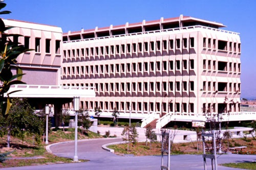 十大未来就业前景最好专业排名 十大未来就业前景最好专业排名