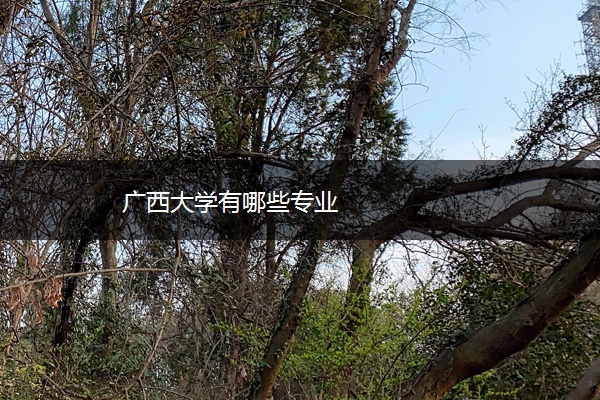广西大学有哪些专业 广西大学有哪些专业