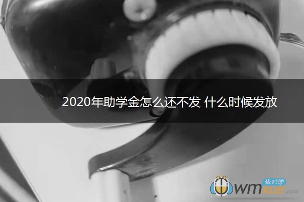 2020年助学金怎么还不发 什么时候发放 2020年助学金怎么还不发 什么时候发放