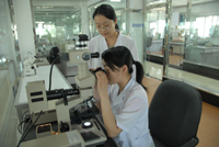 黑龙江中医药大学 黑龙江中医药大学