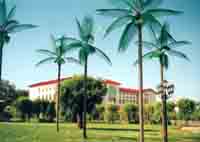 黑龙江中医药大学 黑龙江中医药大学