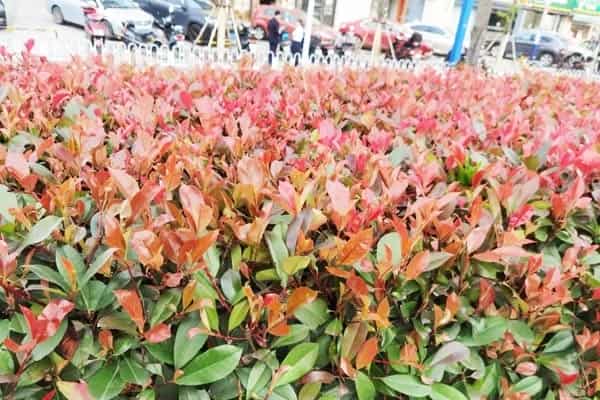 男生一般喜欢什么类型的女生?一分钟让男生喜欢你