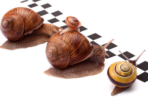 女孩失恋了，该怎么做可以快速走出失恋的痛苦呢