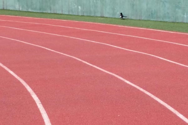 2018人生感悟的经典励志句子集锦