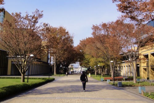 职高哪些专业最适合女生读