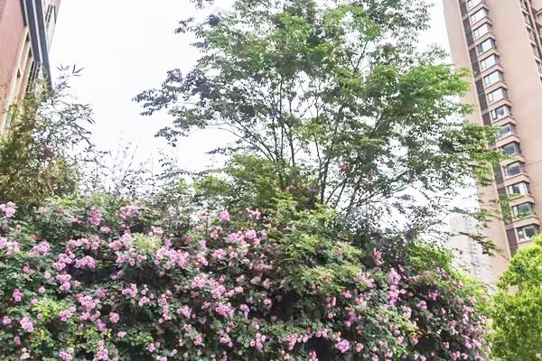 北方工业大学王牌专业有哪些