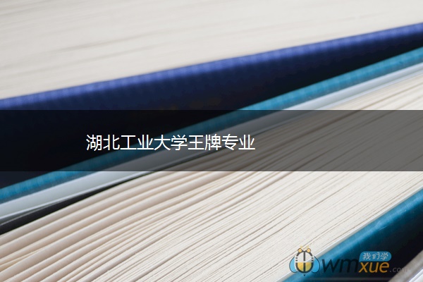 湖北工业大学王牌专业