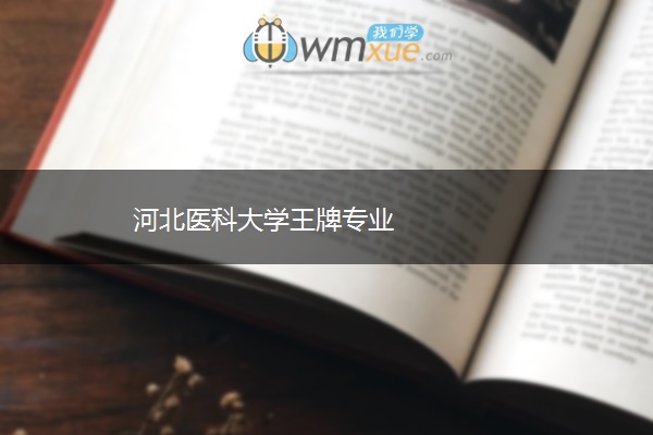 河北医科大学王牌专业