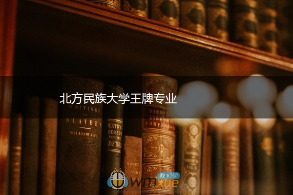 北方民族大学王牌专业