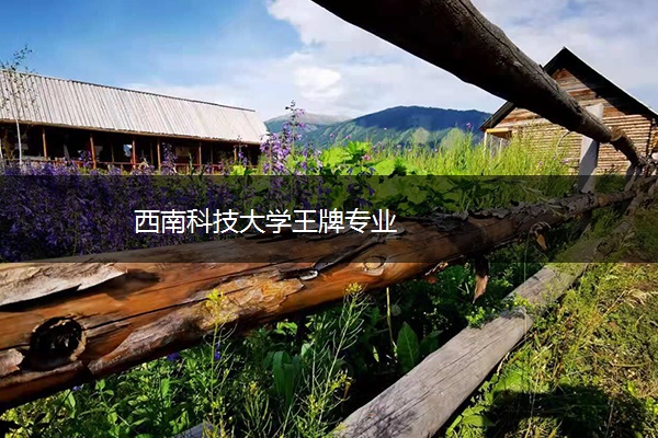 西南科技大学王牌专业