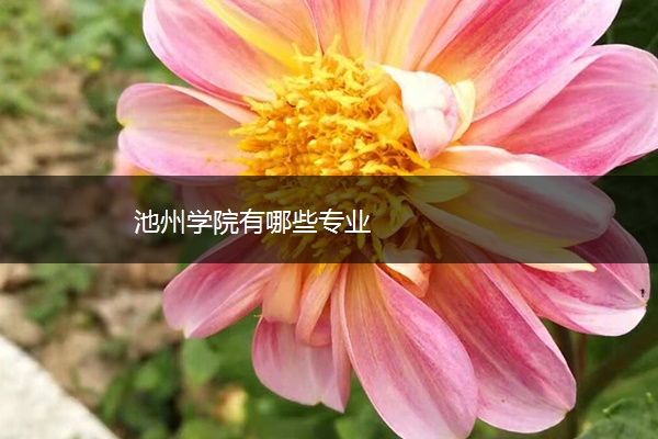池州学院有哪些专业