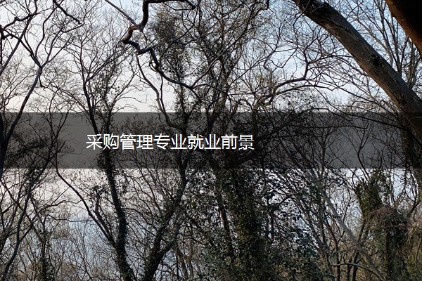 采购管理专业就业前景 采购管理专业就业前景