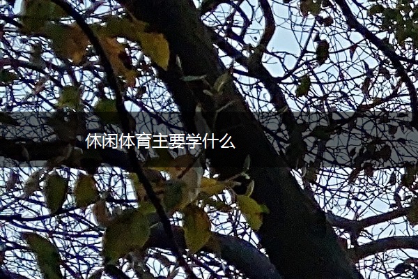 休闲体育主要学什么 休闲体育主要学什么