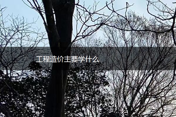 工程造价主要学什么 工程造价主要学什么