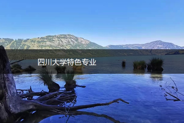 四川大学特色专业