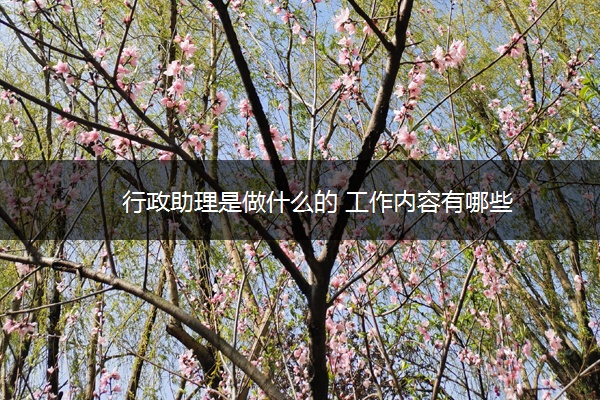 行政助理是做什么的 工作内容有哪些