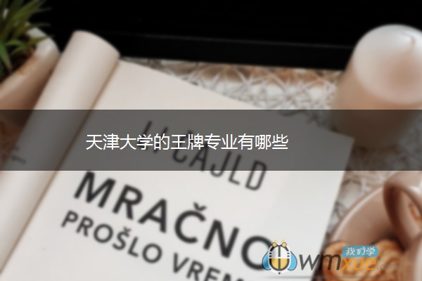 天津大学的王牌专业有哪些