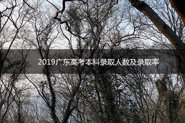 2019广东高考本科录取人数及录取率
