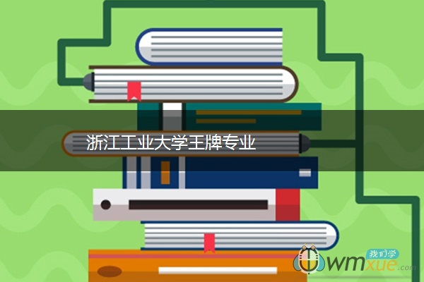 浙江工业大学王牌专业