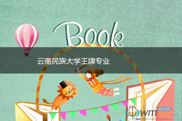云南民族大学王牌专业