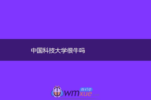 中国科技大学很牛吗