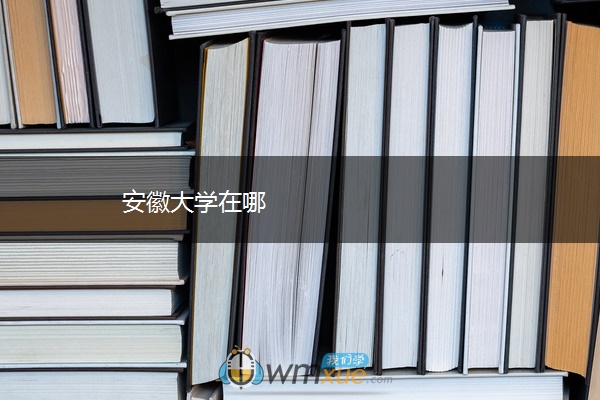 安徽大学在哪