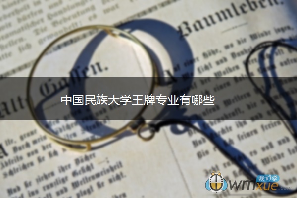 中国民族大学王牌专业有哪些