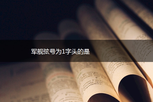 军舰弦号为1字头的是