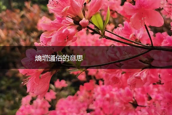 熵增通俗的意思