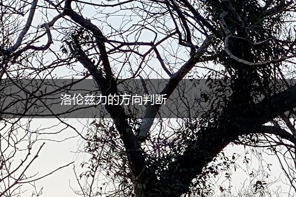 洛伦兹力的方向判断