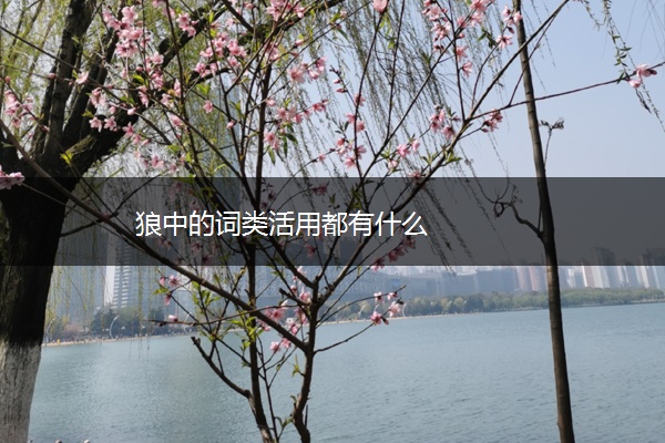 狼中的词类活用都有什么