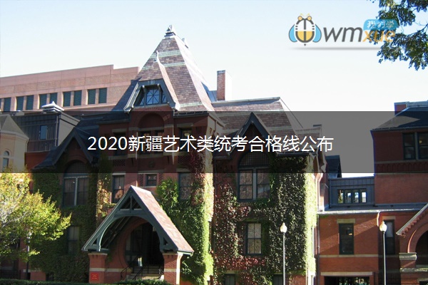 2020新疆艺术类统考合格线公布