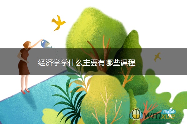 经济学学什么主要有哪些课程