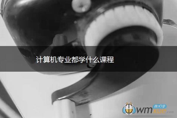 计算机专业都学什么课程