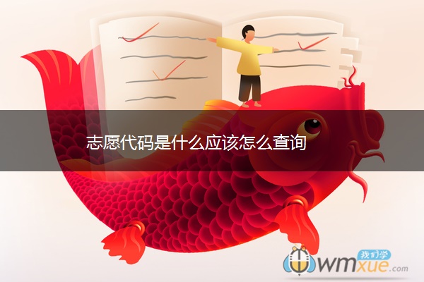 志愿代码是什么应该怎么查询