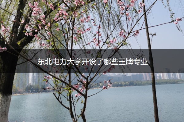东北电力大学开设了哪些王牌专业