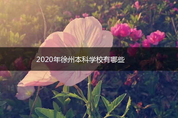 2020年徐州本科学校有哪些