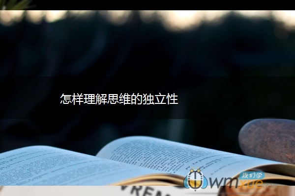 怎样理解思维的独立性