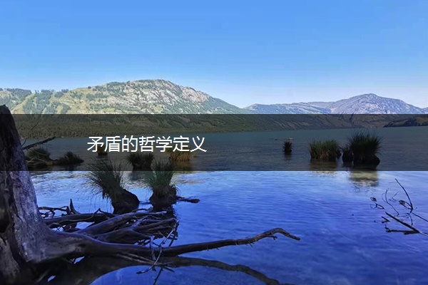 矛盾的哲学定义