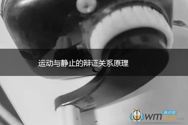 运动与静止的辩证关系原理