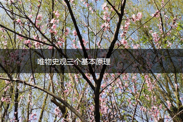 唯物史观三个基本原理