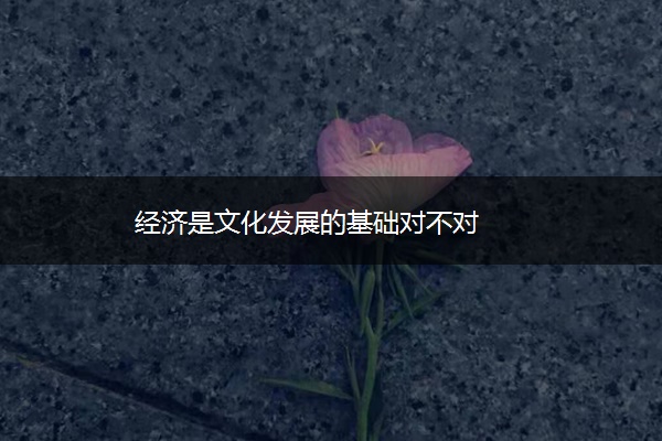 经济是文化发展的基础对不对