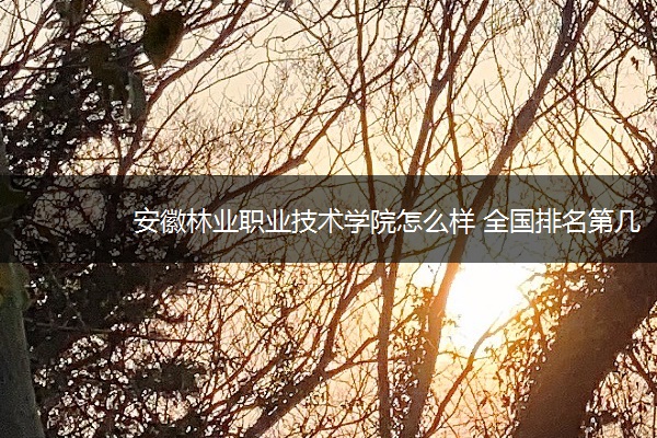 安徽林业职业技术学院怎么样 全国排名第几