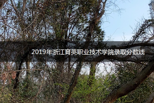 2019年浙江育英职业技术学院录取分数线是多少