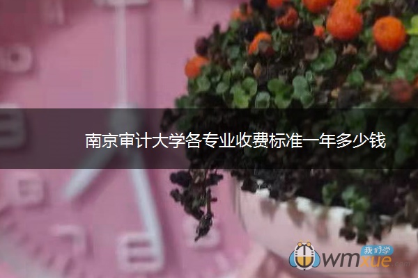 南京审计大学各专业收费标准一年多少钱