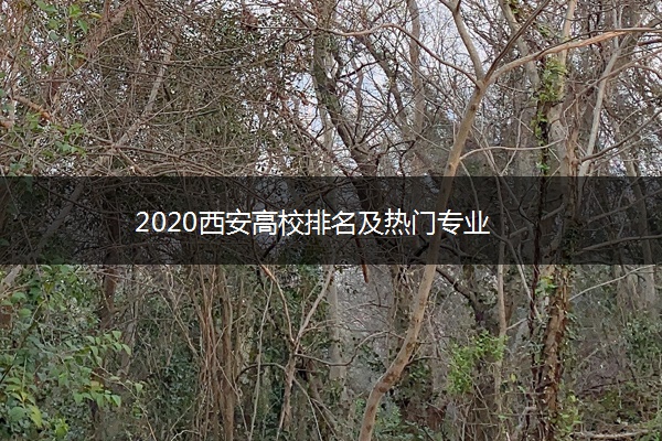 2020西安高校排名及热门专业
