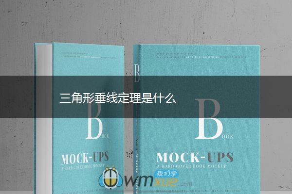 三角形垂线定理是什么 三角形垂线定理是什么